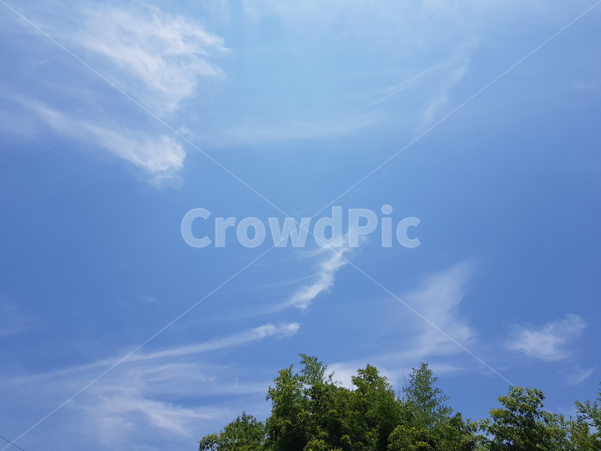 구름,하늘,파란하늘,흰구름,cloud,sky