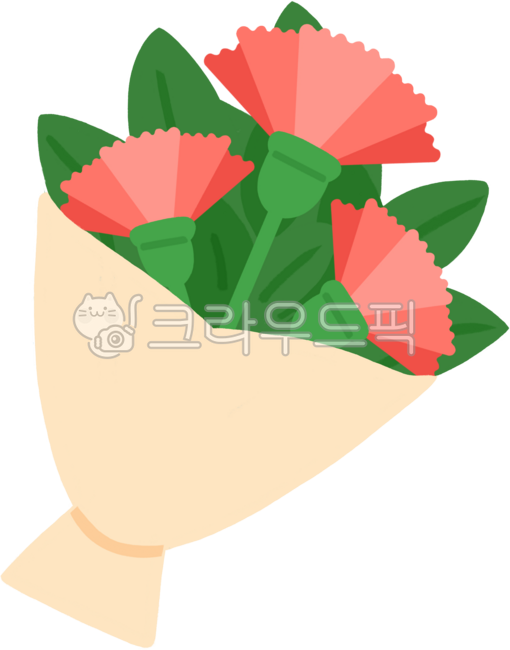 Carnation,Carnation bouquet,Carnation flower bouquet,Teacher's Day,Parents' Day,Carnation illustration,Flower,Flower bouquet,Gift,Carnation drawing,Carnation flower,Family Month,Senior center,Carnation bouquet,Flower shop,Bouquet,R