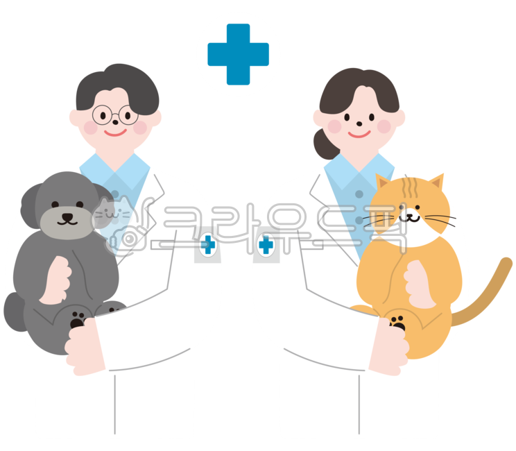그림,일러스트레이션,일러스트,드로잉,반려동물,반려견,반려묘,강아지,고양이,애완견,애완동물,가족,동물,개,묘,펫,귀여운,캐릭터,의사,수의사,동물병원,여자,남자,doctor