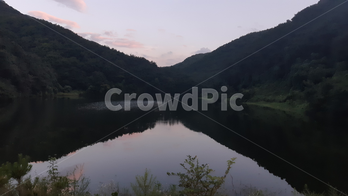 nature,water,물,옥외,outdoors,호수,저수지,노을,자연,정글