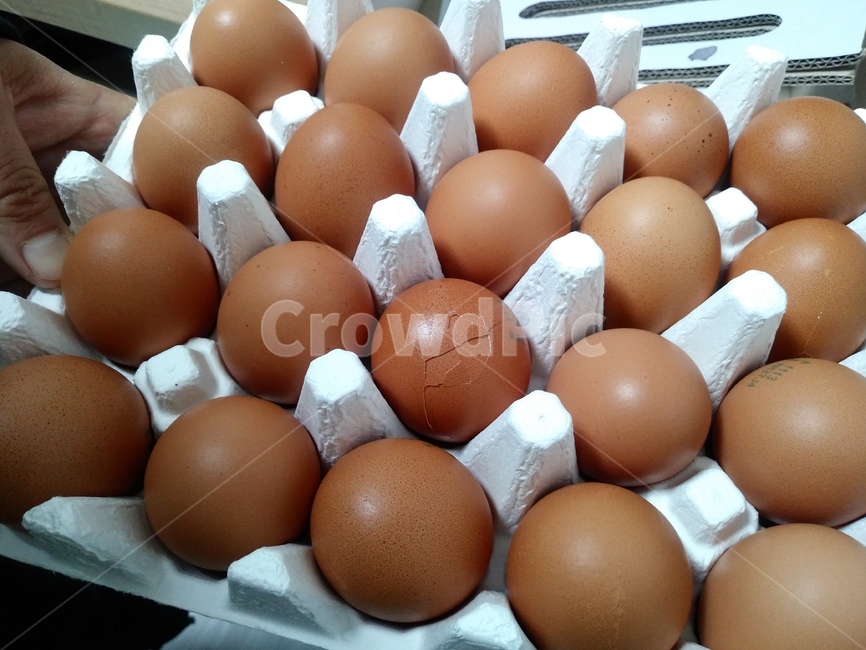 깨진달걀,달걀,신선식품,계란,달걀구입,egg,음식,식재료,요리,food,cook,meal,dishes,food reserves