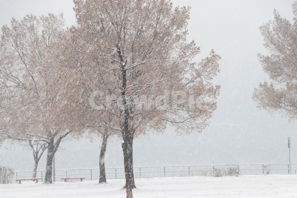 눈,겨울,한강,snow,winter,hanriver,겨울,계절,winter,season,자연,풍경,nature,landscape,blizzard,눈보라,storm,폭풍,outdoors,옥외