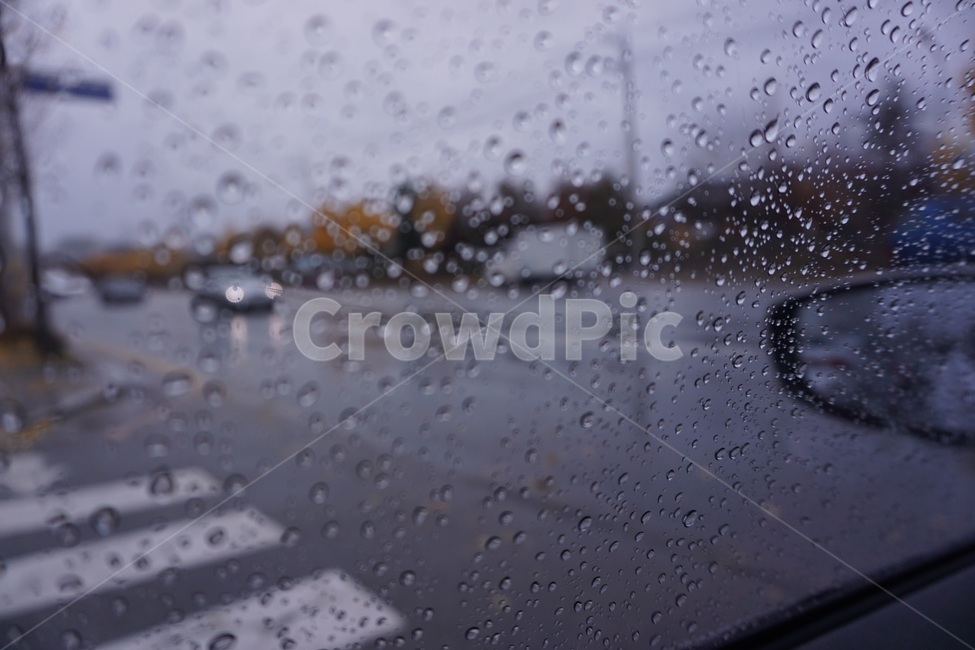 비,rain,도로,감성,흐린날,날씨,비,비오는날,rain,rainy