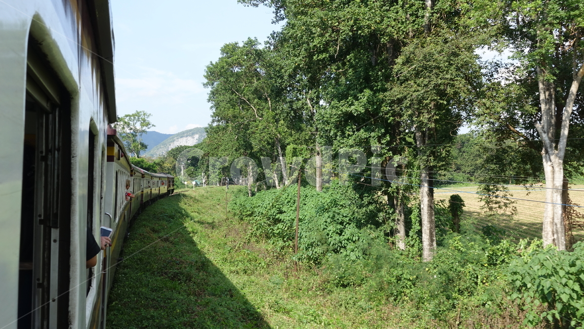 기차여행,railway,rail,기차,transportation