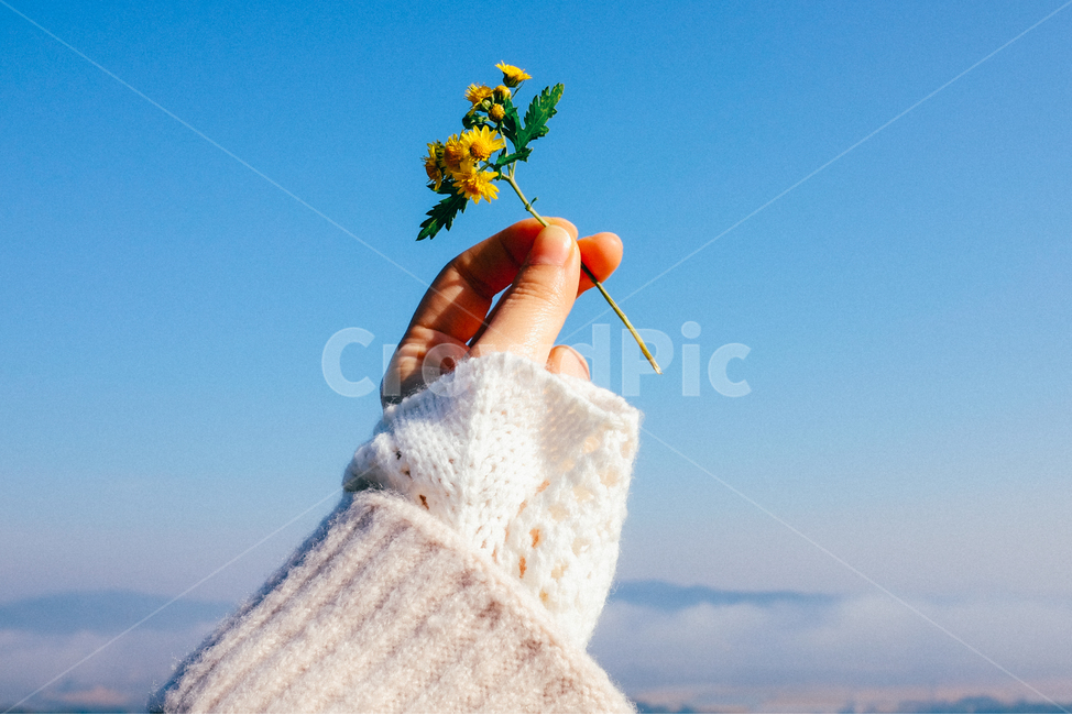 감성,꽃,손,하늘,운해,꽃,flower,사람,인물,인간,human,person,신체일부,몸,body