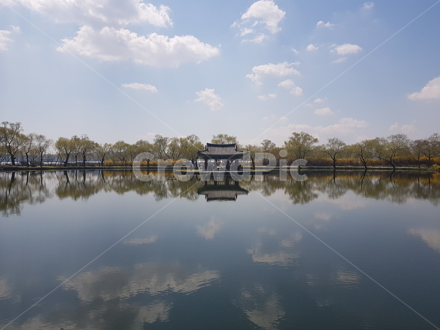 nature,자연,water,물,호수,궁남지,서동공원