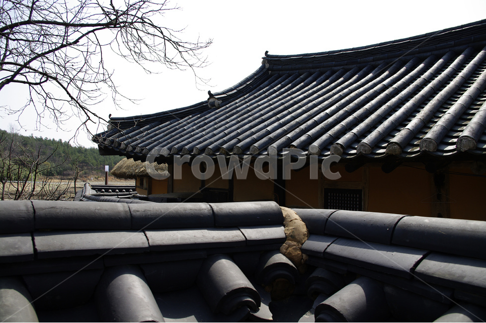기와,지붕,기와지붕,한국,전통가옥,왕곡마을,한국전통,한국문화,korean traditional,korean culture,건축물,건물외관,exterior,building,structure,architecture,construction