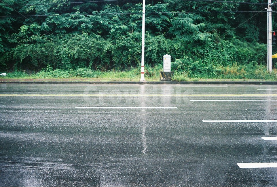 자연,풍경,도로,나무,가로등,일상,비,비,비오는날,rain,rainy,교통,교통수단,traffic,transportation,asphalt,아스팔트,road