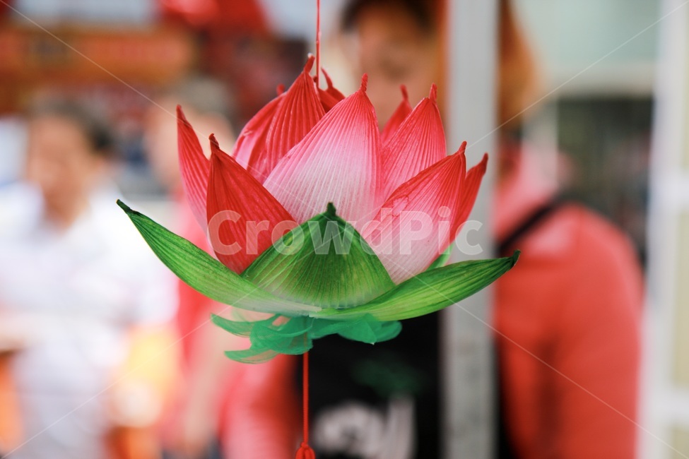 부처님,종교,불교,연등,연꽃,불교이미지,부처님오신날,연등이미지,연꽃사진,연꽃이미지,연등사진,종교,신앙,religion,belief,faith,축제,행사,festival,carnival,event,기념일,축하,anniversary,congratulation,celebrate,celebration,사물,물건,오브젝트,thing,object,matter