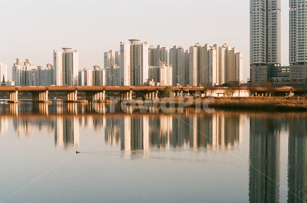 감성,감성사진,빈티지,아날로그,필름,필름사진,필름카메라,film,filmcamera,sensible,feeling,도시,풍경,city,landscape,cityscape,building,건물,urban,town,아파트,강변,강,반영,오리,집,home,저녁,퇴근,퇴근시간