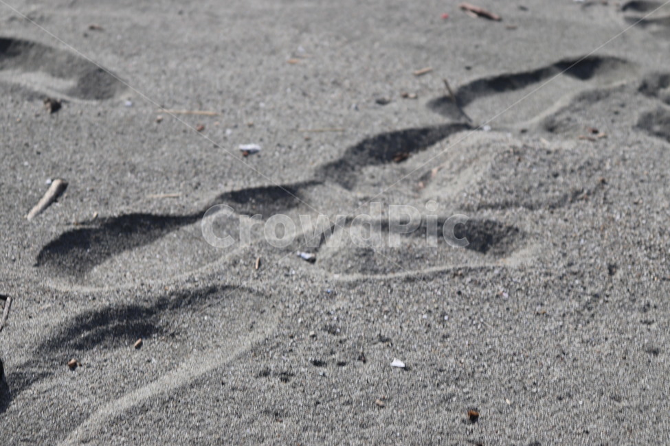 발자국,해변,footprint,beach,감성