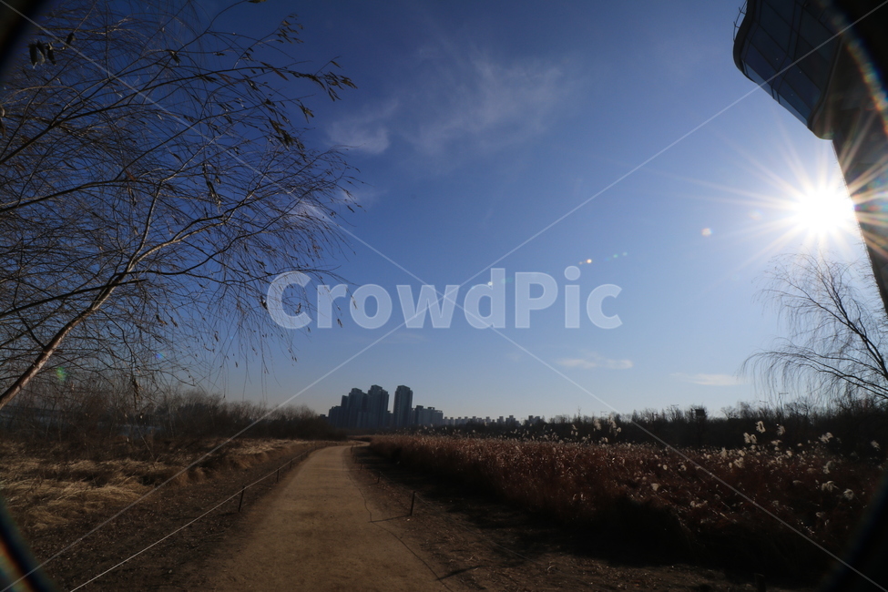 한강,동작대교,아침,태양,역광,backlight,sun,morning,자연,풍경,nature,landscape