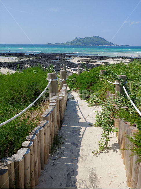 제주도,여름,바다,산책,섬,휴가