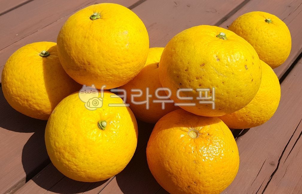 귤,하귤,나스미깡,과일,열매