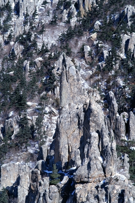 북한,강원도,금강산,만물상,바위,산,눈,소나무,자연,풍경,nature,landscape,겨울,계절,winter,season,outdoors,옥외,tree,나무,plant,식물,fir,전나무