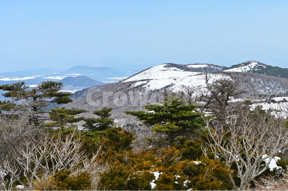 제주,한라산,한라산설경,오름,설경,겨울,계절,경치,경관,풍경,영실,윗세오름,outdoors,옥외,snow,눈,nature,자연,mountain,산,plant,식물,tree,나무,fir,전나무,mountainrange,산맥