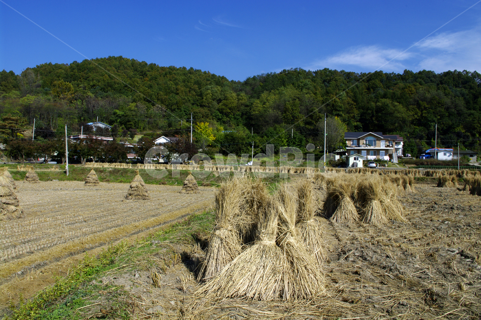 논,볏짚,풍경,산,하늘,농촌,시골,시골,마을,풍경,landscape,country,rural,town,산업,industry,industrial,농업,농사,agriculture,farming,farming industry
