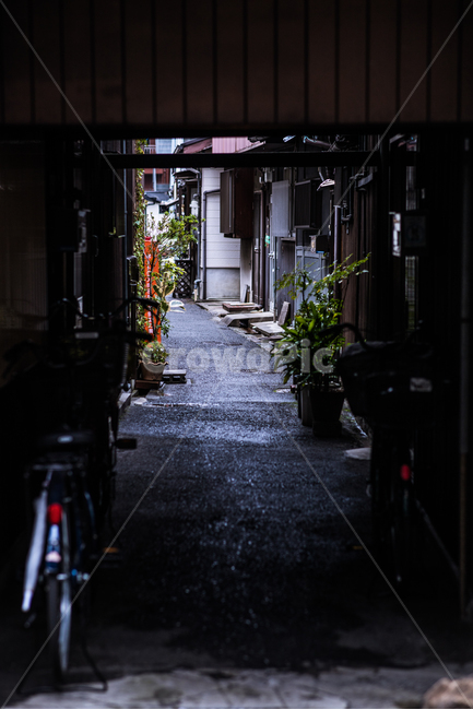 일본,japan,교토,도로,골목길,골목,골목길,alley,corridor,복도