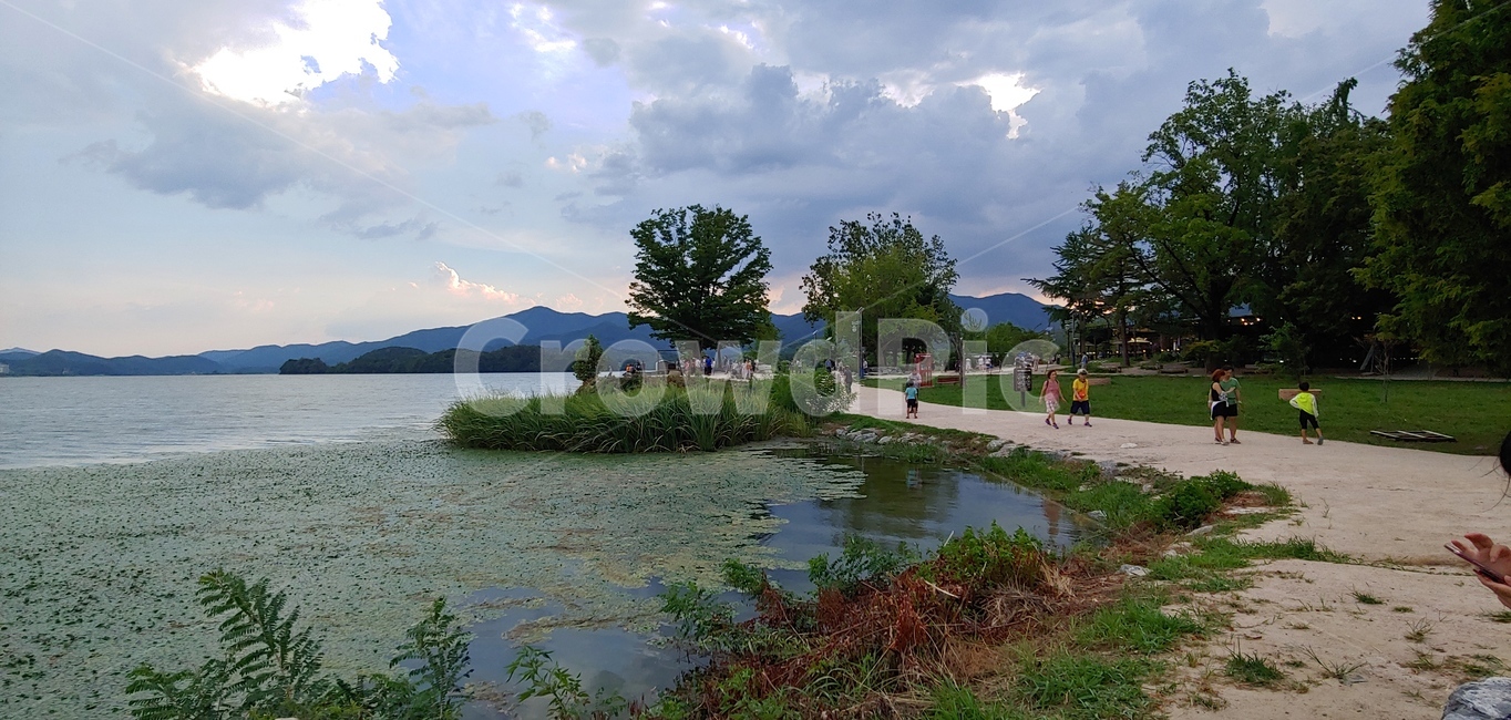 두물머리,여름두물머리,서울근교공원,공원,산책,세미원,자연,풍경,nature,landscape,outdoors,옥외,land,땅,water,물
