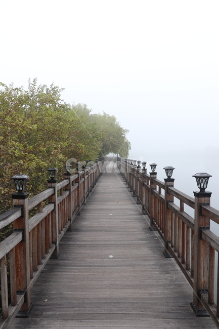 안개,호수,데크길,산책로,새벽안개,탑정호,수변공원,자연,풍경,nature,landscape,bridge,다리,boardwalk,building,건물,railing,난간