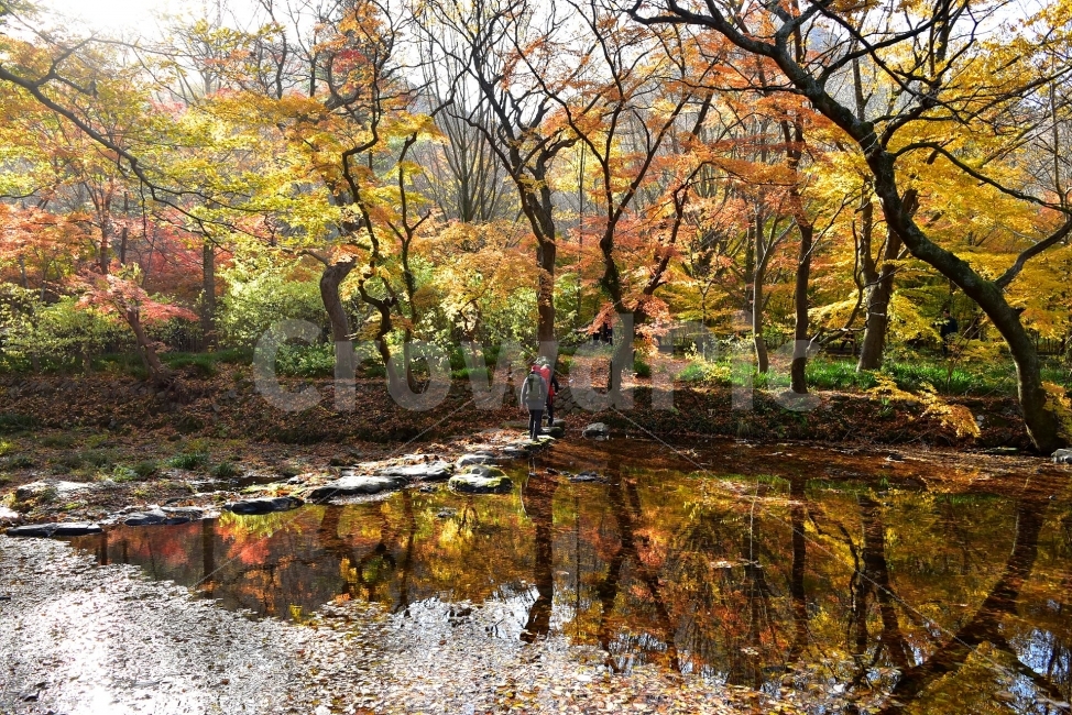 선운산,선운사,도솔천,가을,풍경,단풍,자연,탐방,파란하늘,가을색,오색,울긋불긋,알록달록,그림같은,칼라풀,뷰티플,아름다운,힐링,감성,정취,산세,명산,100대명산,nature,산,등산,트레킹,풍경사진,비경,경치,가을사진,가을색채,가을의정취,맑음,청명,사진,가을,계절,fall,autumn,season,자연,풍경,nature,landscape,한국자연풍경,한국자연경관,korea nature landscape,outdoors,옥외,land,땅,water,물,tree,나무,plant,식물,person,사람,human,인간