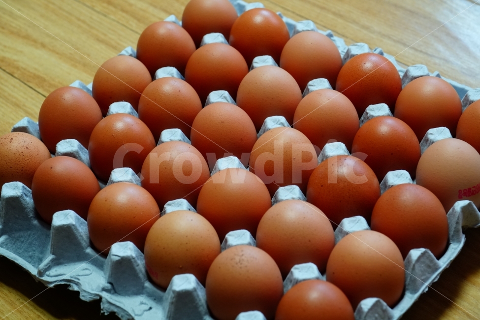 chicken,raw eggs,egg,objects,recipe,animal nature,side dish,ingredients,cooking,poultry farm,raw egg,cook,food ingredients,food,chick,grocery,thing,object