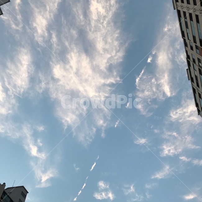 비행운,cloud,하늘,sky,contrail,자연,날씨,nature,weather,building,건물,구름