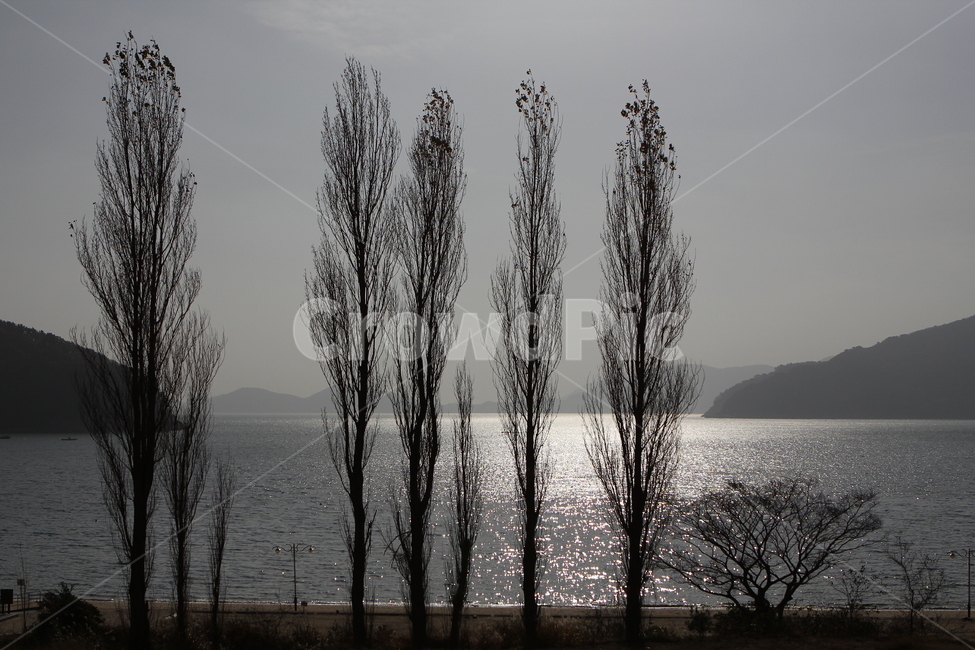구조라,바다,바닷가,해변풍경,해수욕장,자연,풍경,nature,landscape,해변,바다,beach,sea,식물,plants,tree,나무,plant
