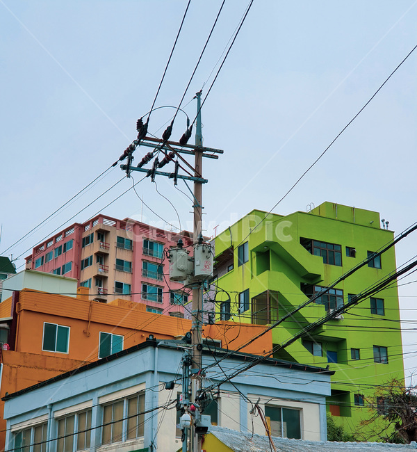 건물,building,전봇대,pole,green,town,village