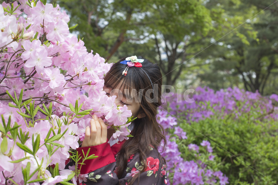 한복,치마,저고리,한국전통,전통의상,전통,의상,궁,고궁,궁궐,댕기,인물,창경궁,창덕궁,철쭉,꽃,봄꽃,향기,여자,여성,한국전통,한국문화,korean traditional,korean culture,한복,한국전통의상,hanbok,korean traditional clothes,사람,인물,인간,human,person,여성,여자,woman,female,lady