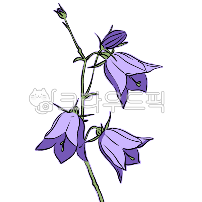 flower drawing,nature,flower painting,sauce,line drawing,flower,flower illustration,plant illustration,plant,design source