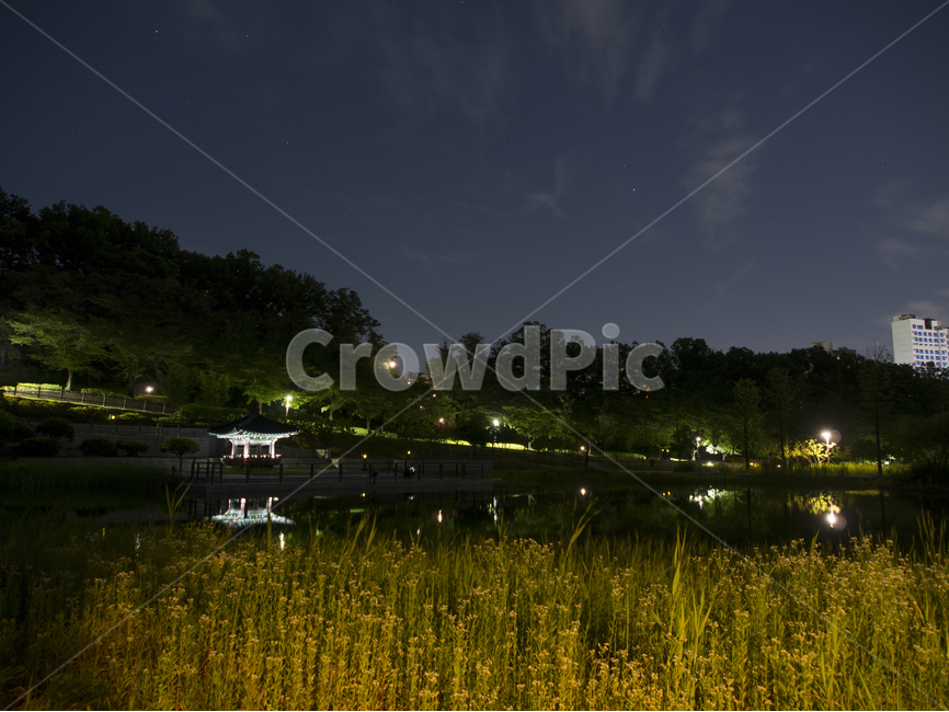 야경,호수,연못,밤하늘,정자,자연,풍경,nature,landscape,한국자연풍경,한국자연경관,korea nature landscape,야경,밤,nightscape,night,outdoors,옥외