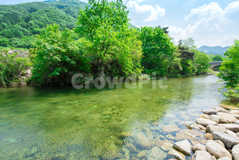 시골,자연,나무,강,물,하늘,깨끗한,여름,자연,풍경,nature,landscape,outdoors,옥외,water