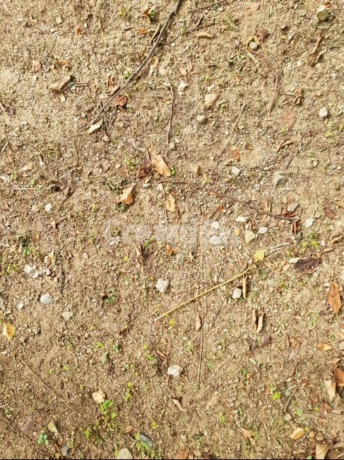 흙,자연,자갈,편안함,힐링,갈색,황토색,텍스처,질감,패턴,texture,pattern