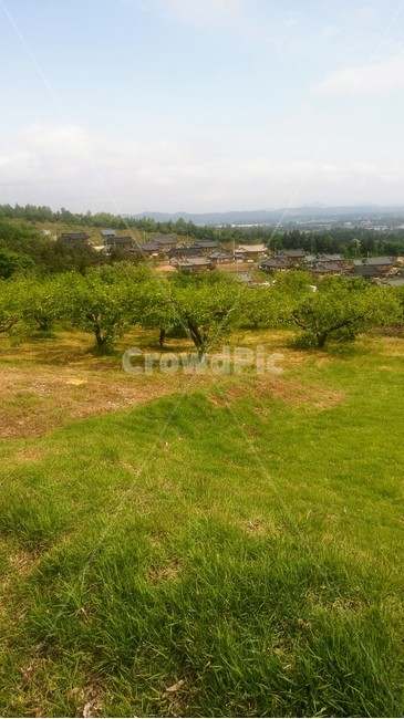 자연,풍경,한옥,산,하늘,자연,풍경,nature,landscape,outdoors,옥외,field,들,rural,농촌,farm,농장
