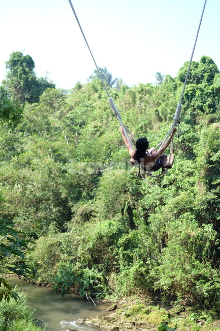 vegetation,초목,plant,식물,tree,나무,outdoors,옥외,land,땅,nature,자연,rainforest,열대우림,jungle,밀림,그네,swing,사람,인물,인간,human,person,여성,여자,woman,female,lady
