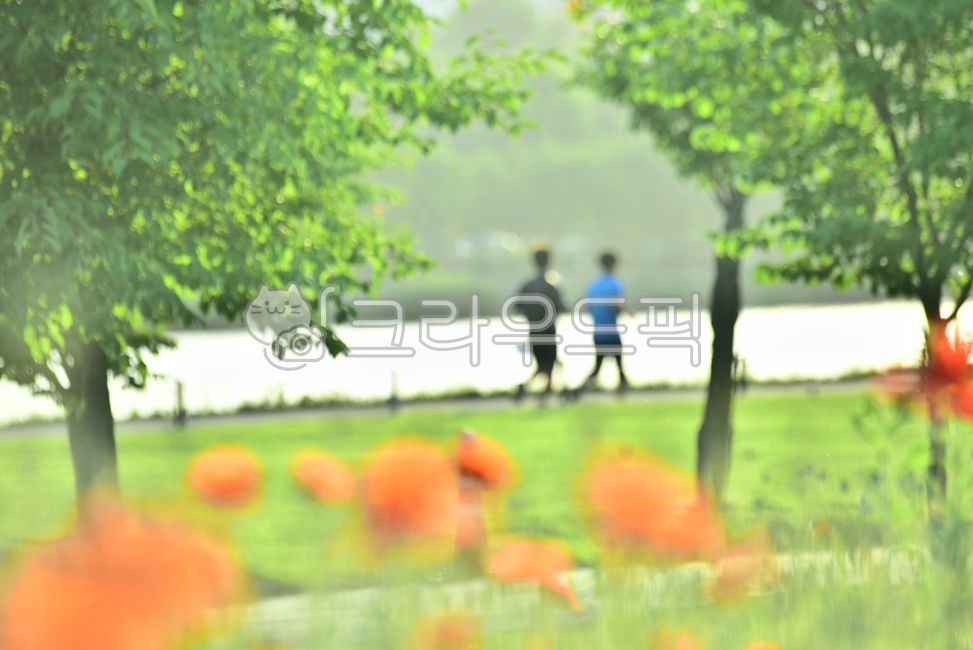 조깅,사람들,달리다,산책로,힐링,자연,환경,호숫가,꽃,개양귀비,꽃양귀비,남자,두사람,사람,인간,생활체육,건강,생활스포츠,유산소운동,배경,바탕,백그라운드,야외,옥외,아웃도어,그린,나무,tree,road,jogging,운동,화초,스포츠,sports,원예식물