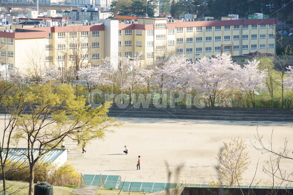 축구,운동,운동장,체육,학교운동장,학교체육시간,교육,학교,공부,education,learning,study,school