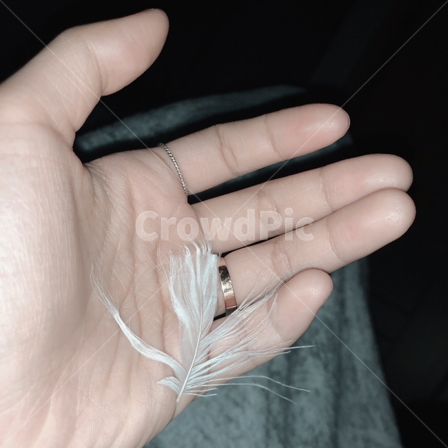 손,깃털,하얀색,반지,어두움,감성,휴식