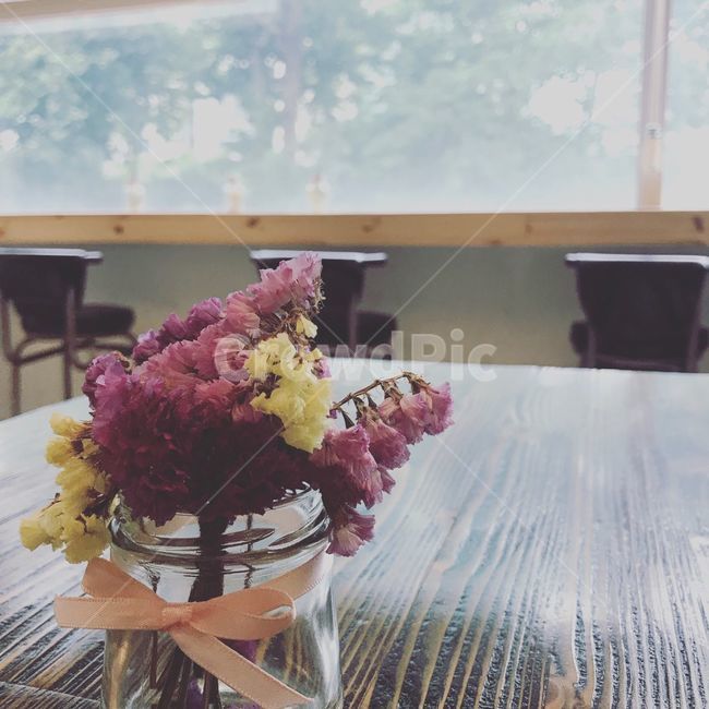 꽃,카페,드라이플라워,incafe,dryflower,감성사진