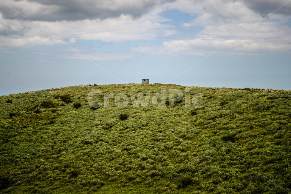 오름,금오름,제주도,제주,풍경,자연,구름,하늘,자연,풍경,nature,landscape,제주도,jeju,jeju island,outdoors,옥외,field,들,grassland,목초지