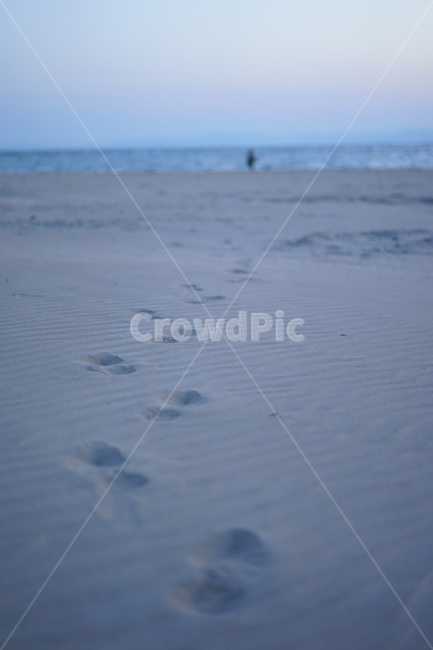발자국,모래,해변,바다,새벽,그림자,풍경,해변,바다,beach,sea