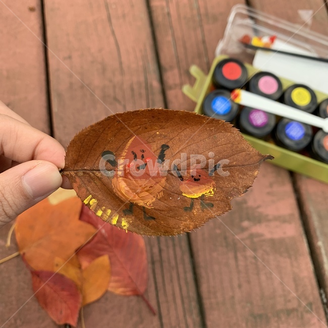 leaf,잎,drawing,fall,autumn,단풍,낙엽,그림,가을,밤톨,가을,계절,fall,autumn,season,식물,자연,plants,nature