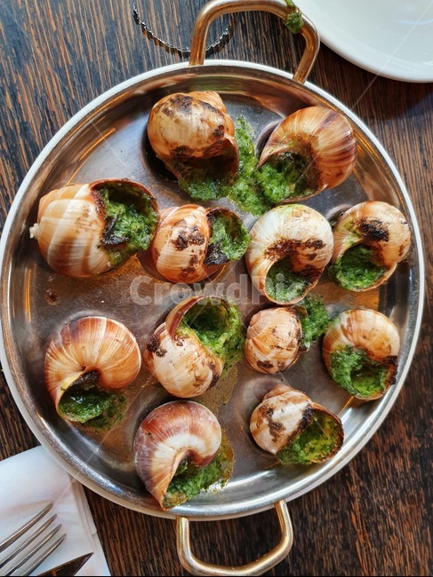 escargot,애스까르고,프랑스,프랑스요리,달팽이요리,달팽이,음식,식재료,요리,food,cook,meal,dishes,food reserves,양식,서양음식,서양요리,western food,western dishes,western meal,western cook