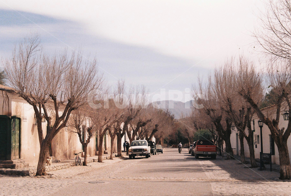 나무,마을,인간,자동차,car,vehicle,도로,road,건물