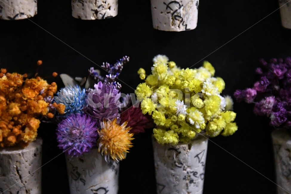 안개꽃,꽃,감성사진,감성,식물,자연,플라워,감정,색깔,색채,색감,칼라,flower,꽃다발,인테리어,소품,사물,기념일,축사,plants,배경화면,안개,nature,노랑,보라,화분,꽃,flower