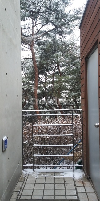 건물,사이,풍경,소나무,자연