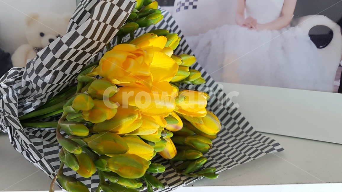 꽃,flower,선물,후리지아,노란꽃,식물,blossom,flowerarrangement,flowerbouquet,꽃꽂이