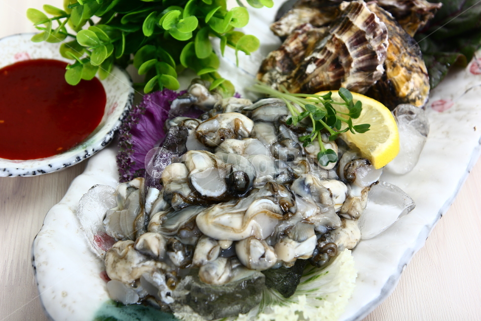 석화,굴,생굴,해산물,조개,신선,싱싱,음식,식품,dish,oysters,seafood,shellfish,fresh,crispy,food,음식,식재료,요리,food,cook,meal,dishes,food reserves,수산물,해산물,fishery products,seafood