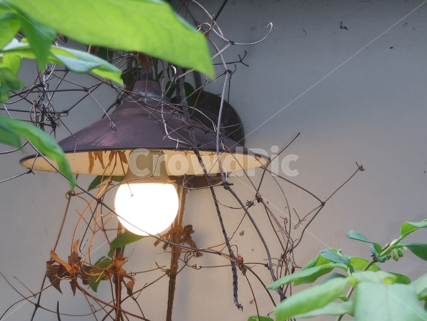 전등,나뭇잎,오래된,전등불,차분한,조화,배경화면,갈색,초록,comfortable,brown,harmony,balance,leaf,light,electriclamp